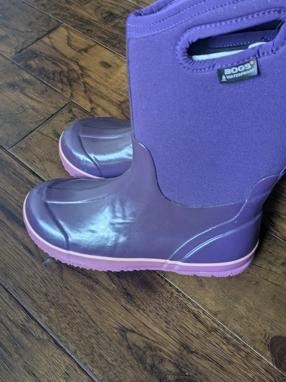 Solid Classics Youth Shoe Size 6 - Black with Purple Trim
